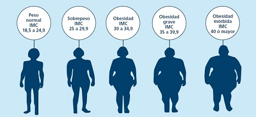 categorías de la obesidad